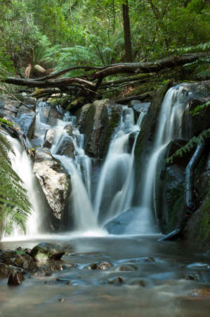 Dandenong Ranges, Olinda Falls, near Melbourne Australia on a sunny dayの写真素材