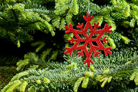 Red  artificial  snowflake ornament, in fresh pine Christmas tree