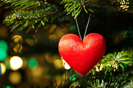 Decorative heart shape ornament in a Christmas tree Aの写真素材