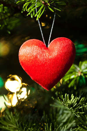 Red heart in Christmas tree nice illuminatedの写真素材
