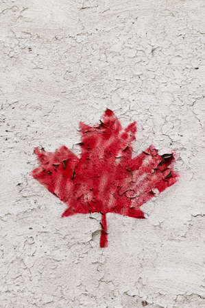 Single painted red maple leave on grunge surface nice in greyの写真素材