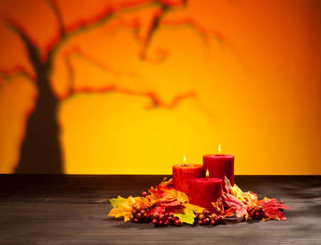 Candles in scary Halloween landscape with dry tree
の写真素材