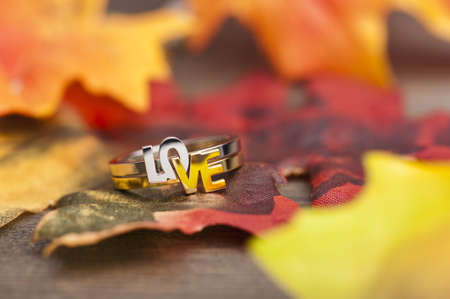 LOVE ring in festive autumn decorationの写真素材