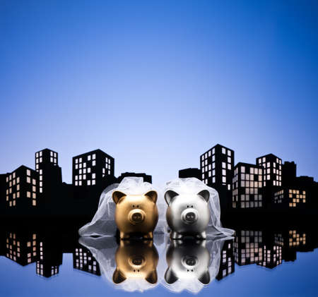 Metropolis City lesbian piggy bank civil union with veilの写真素材