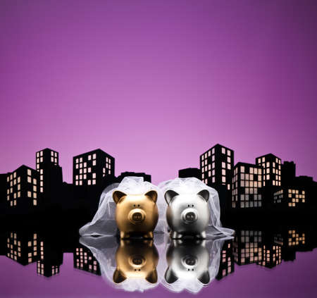 Metropolis City lesbian piggy bank civil union with veilの写真素材