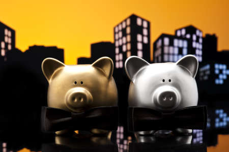 Metropolis City gay piggy bank civil union a close upの写真素材