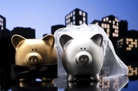 Metropolis City pig wedding the piggy bank with veil and bow tieの写真素材