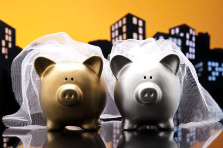 Metropolis City lesbian piggy bank civil union with veilの写真素材