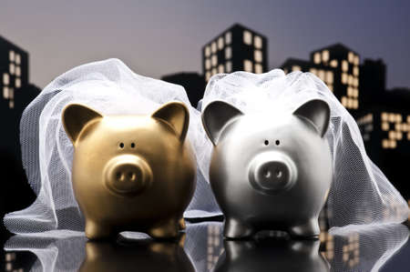Metropolis City lesbian piggy bank civil union with veilの写真素材