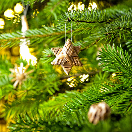 Bauble Ornament in a real Christmas tree in bright colorの写真素材