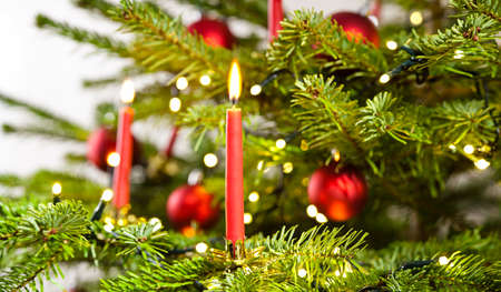 red candle in christmas tree over bright backgroundの写真素材
