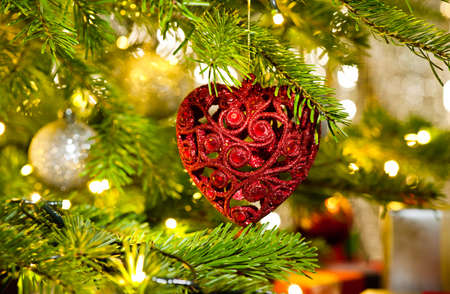 Xmas Ornament in a real Christmas tree in bright colorの写真素材