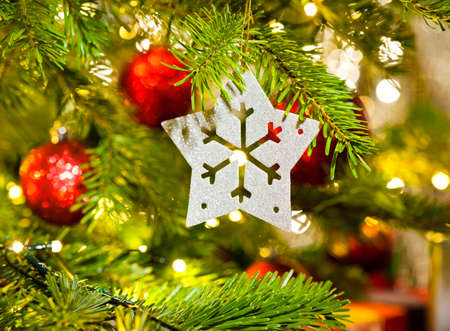 Xmas Ornament in a real Christmas tree in bright colorの写真素材