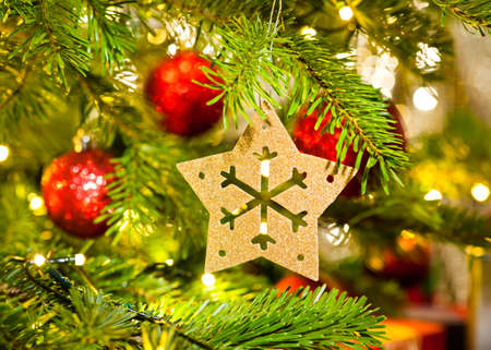 Xmas Ornament in a real Christmas tree in bright colorの写真素材