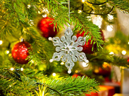 Xmas Ornament in a real Christmas tree in bright colorの写真素材
