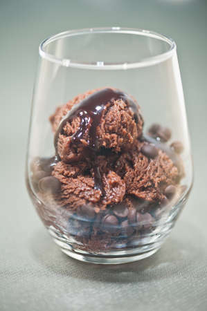 Chocolate ice cream in a glass with chocolate chips
の写真素材
