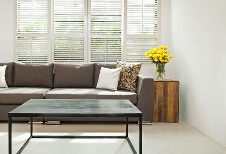 Grey sofa with pillows infront of lovered windows
の写真素材