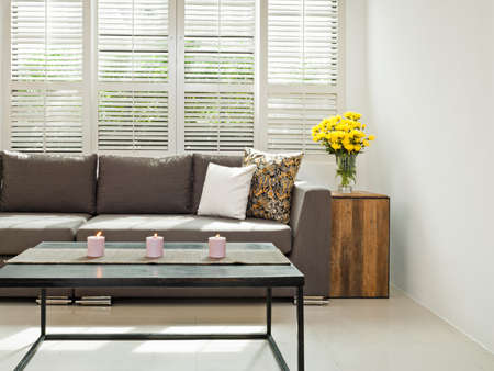 Grey sofa with pillows infront of lovered windows
の写真素材