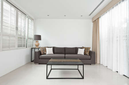 Bright Living room with grey sofa and minimalistic decorationの写真素材