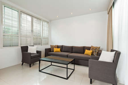 Bright Living room with grey sofa and minimalistic decorationの写真素材