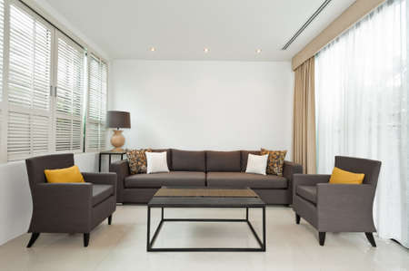 Bright Living room with grey sofa and minimalistic decorationの写真素材