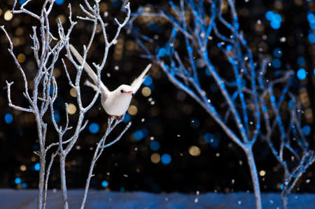 White bird in winter with snowfallの写真素材