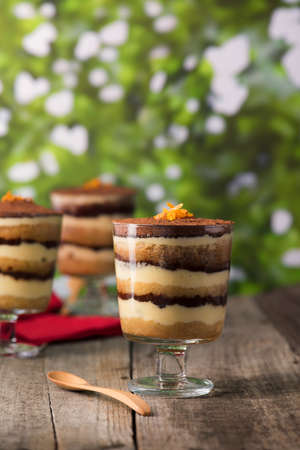 Tiramisu dessert on a wooden rustic tableの写真素材