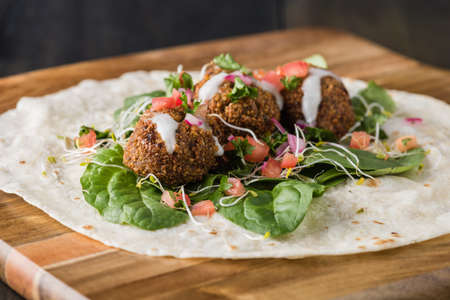 Vegan Falafel Wrap With Salsa and saladの写真素材