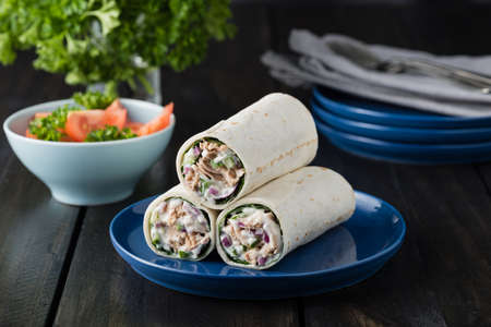 Tuna burritos with cucumber red onion and mayonnaise on rustic backgroundの写真素材