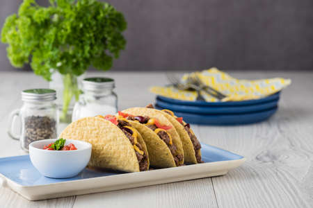 Beef tacos with salsa,cheddar cheese, tomato and beansの写真素材