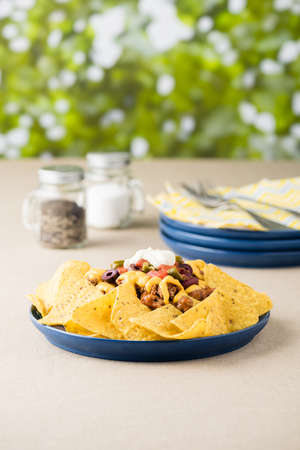 Nachos with beef, jalapeno peppers, olives, tomato, beans, cheese and sour creamの写真素材