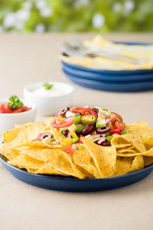 Vegetarian nachos tomato, beans, capsicum, avocado, olive, jalapeno and dipping saucesの写真素材