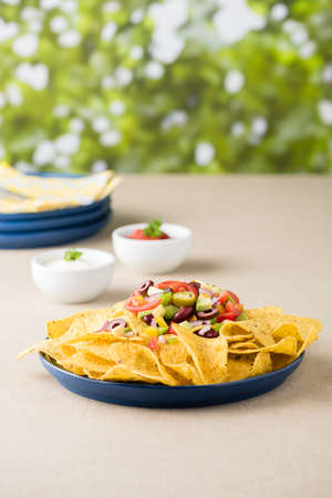 Vegetarian nachos tomato, beans, capsicum, avocado, olive, jalapeno and dipping saucesの写真素材