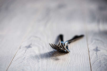 Two Forks on a table shallow depth of field