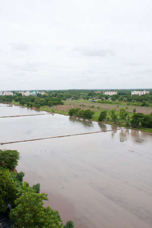 farmland field rice in thailand,water in the field riceの写真素材