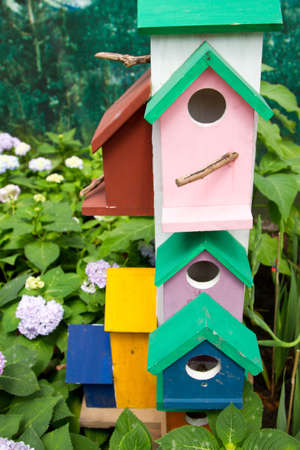 Wood is the ornamental garden. Is generally seen in the park.の写真素材