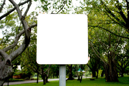 Banner white background square in the park.の写真素材