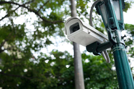 Camera with lighting in the park.の写真素材