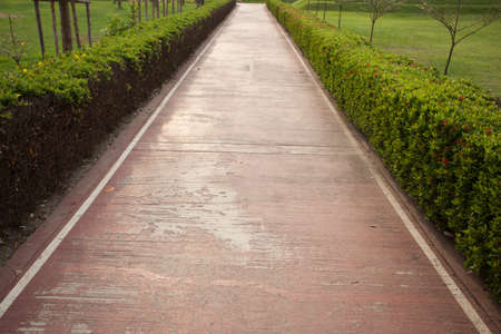 The long walk in the park and walk in the park 