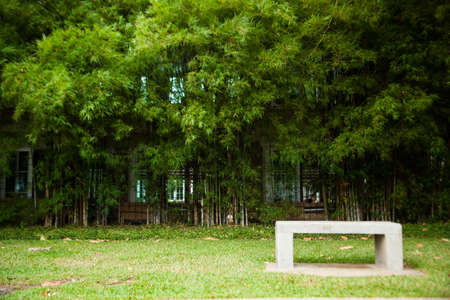 Bench seats and bamboo. Chair on the lawn green. Within the park.の写真素材