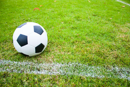 The ball in grass. The sideline. Fresh green grass. Black and white ball.の写真素材