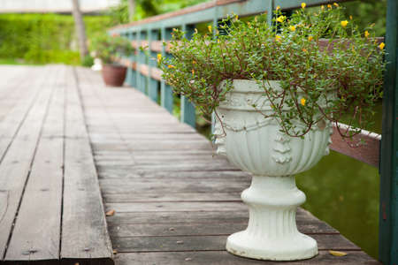 Potted plants on a wooden bridge. Decorate the tree at the head of the bridge. With yellow flowers.の写真素材