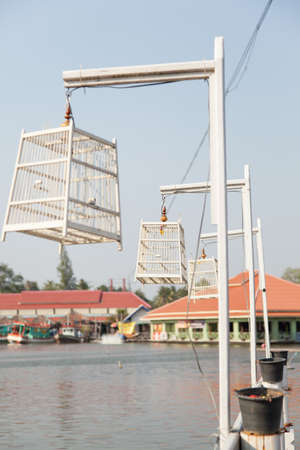 Bird cage tied to a pole in the water, but no birds in cages.の写真素材