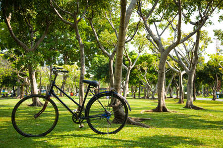 Old bicycle in the park. Parked on the lawn.の写真素材