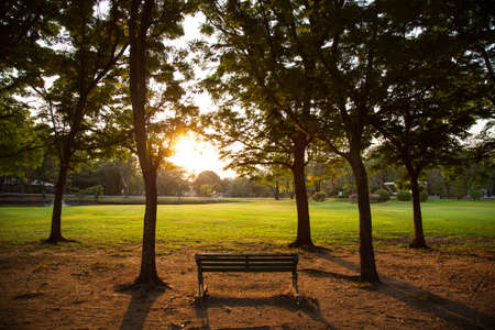 Bench in the park for people to relax on vacation. The property has a shady garden. In the evening.の写真素材