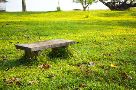 Bench on the lawn. In the park. Relaxing atmosphere.