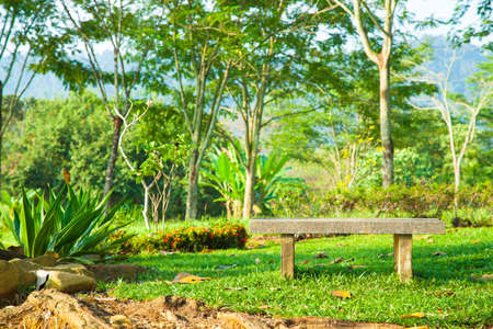 Bench on the lawn. In the park. Relaxing atmosphere.の写真素材