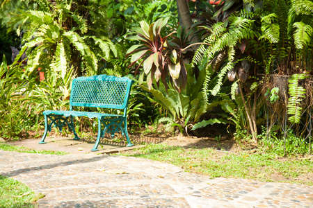 Benches along the pathway in the park. A variety of trees planted in the garden.の写真素材