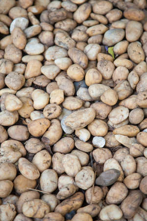 Small stones. The look is sharp. A similar size.の写真素材