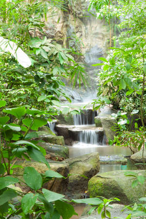 Waterfall cascade multi-level garden decorated in the garden. Waterfall with trees planted.